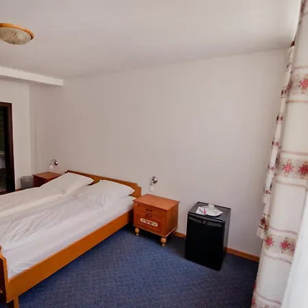 Hotel Alt-Ringlein-3
